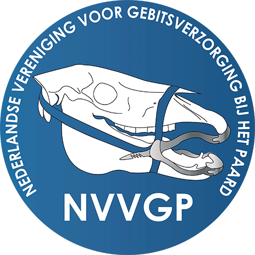 NVVGP